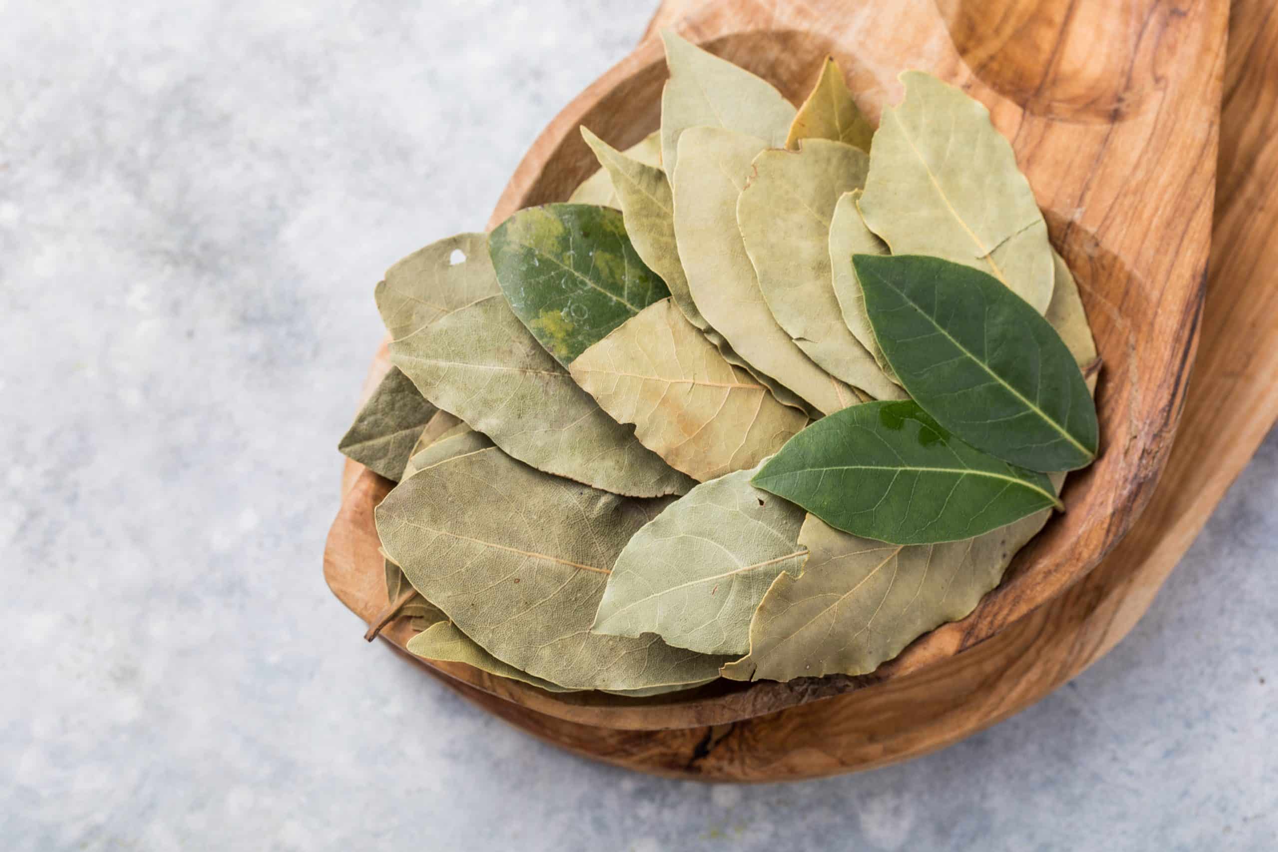 eliminare le farfalle dalla mia dispensa con queste foglie